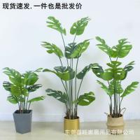 uploads/erp/collection/images/Home Garden/dgjiawang/XU0613012/img_b/XU0613012_img_b_2